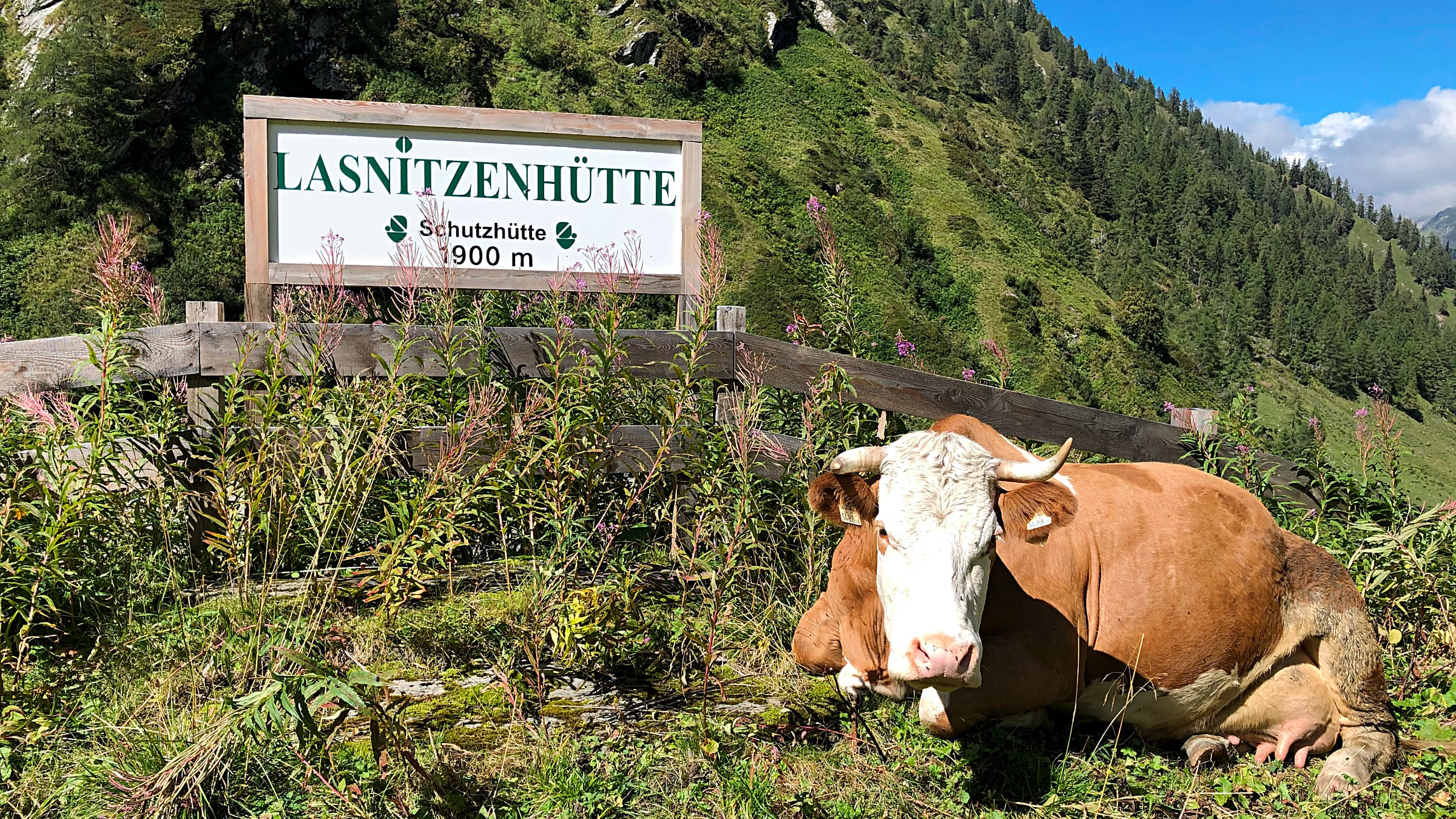Der letzte Tag der Sommerfrische