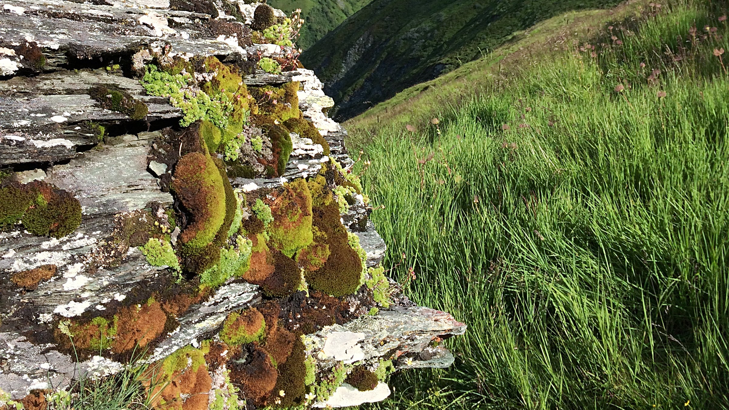 Detailansicht Gschl&ouml;sslas Stoan