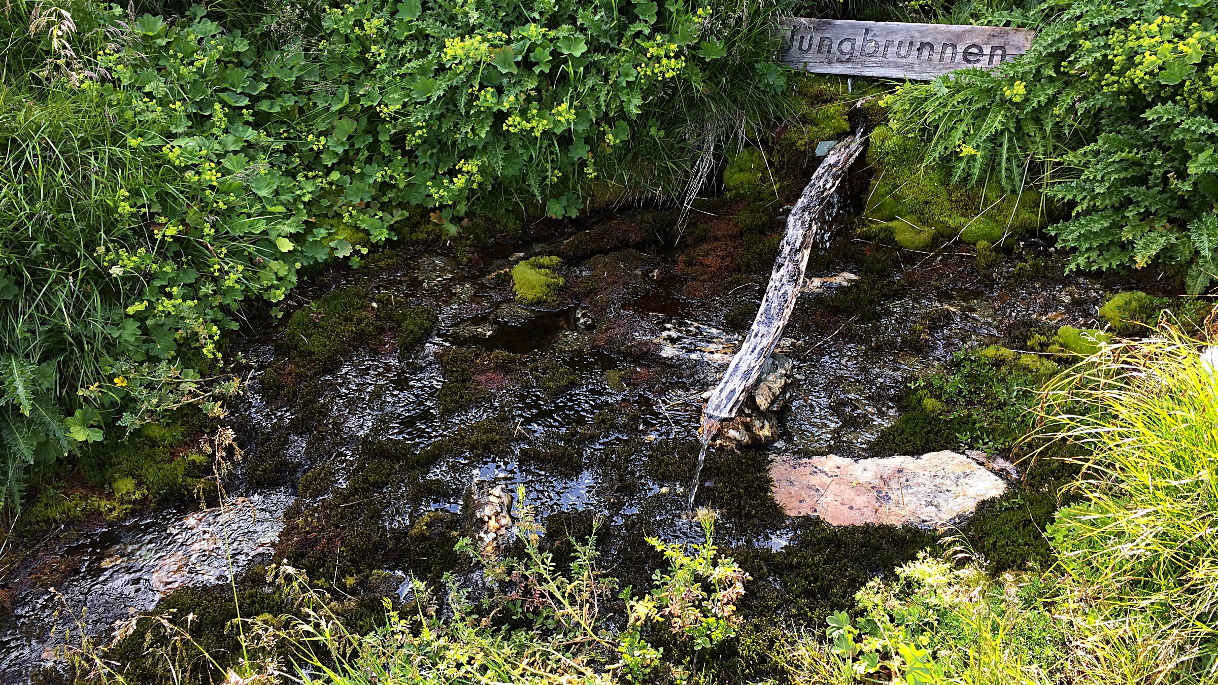 Der Jungbrunnen in Kriselach